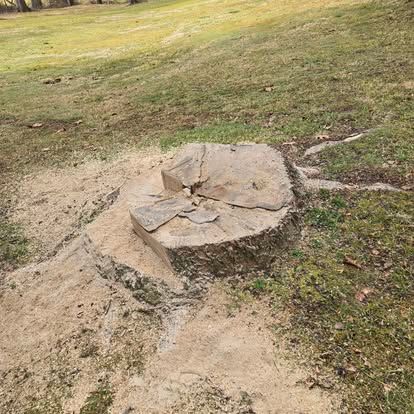 Stumpgrinding for Lopez Landscaping and Tree Service  in Waynesville, NC