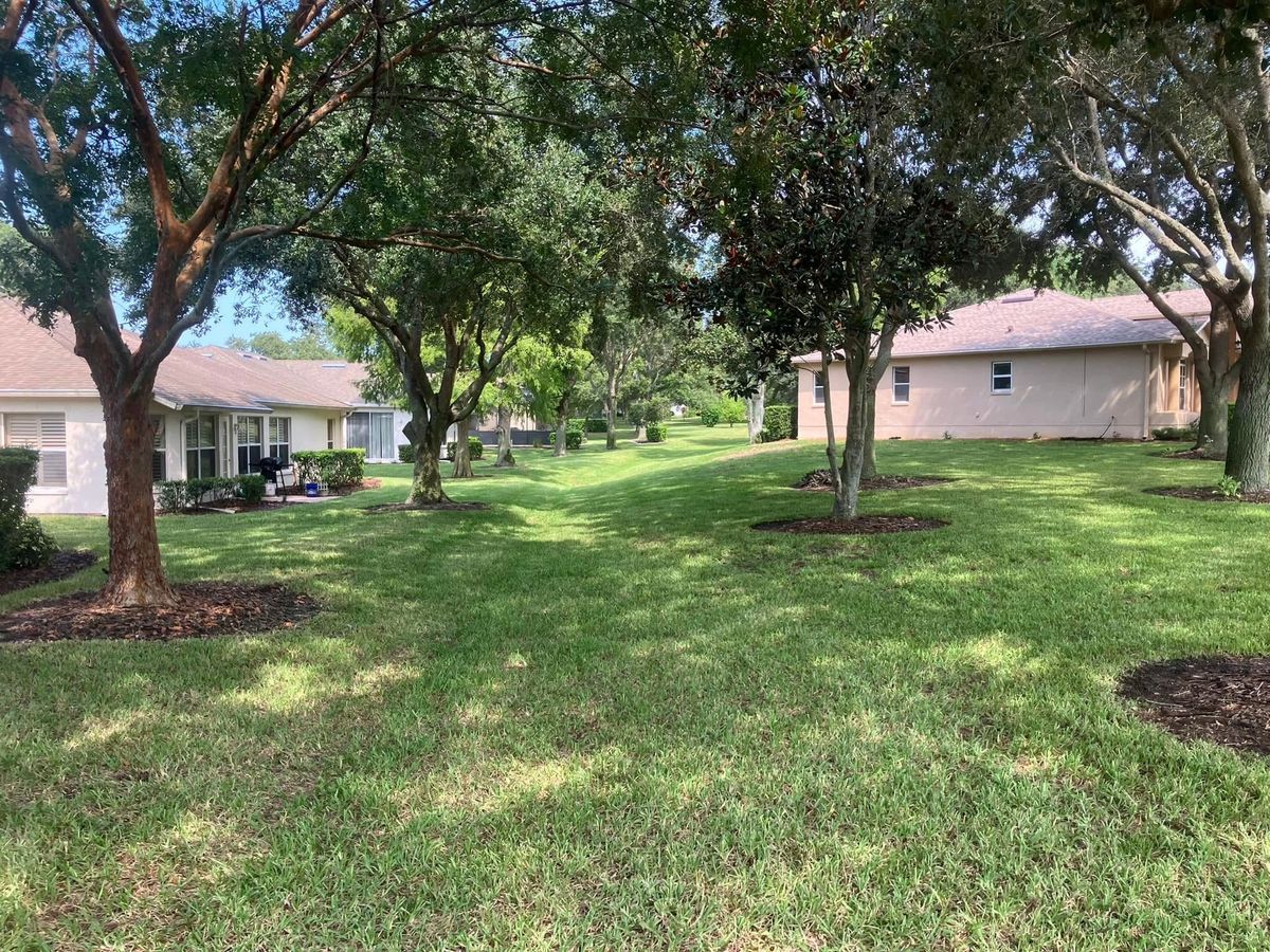 Yard Cleanups for Genesis Landscape Services in Spring Hill, FL