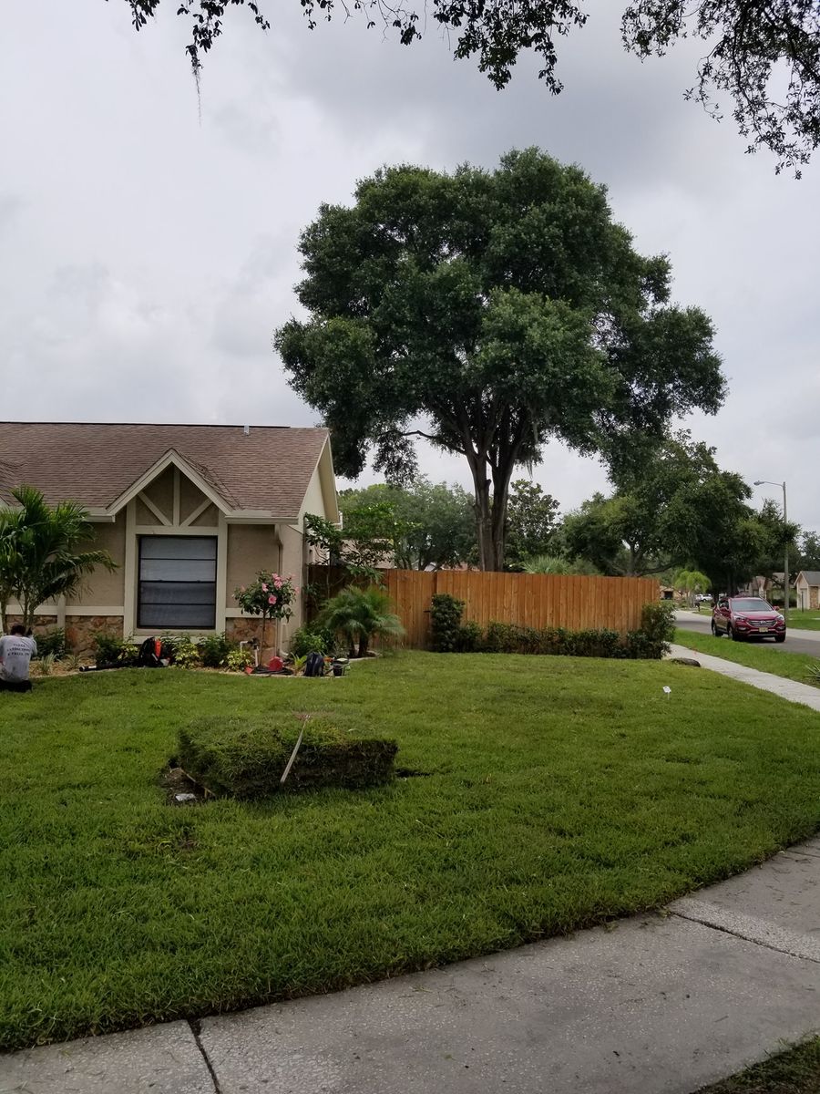 Mulching for Tezna Landscaping, Trees & Pavers in Valrico, FL