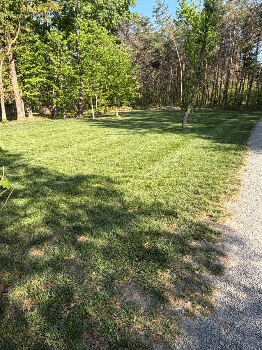 Lawn Maintenance for Starnes Hardscapes & Property Management LLC in Dunlap, TN