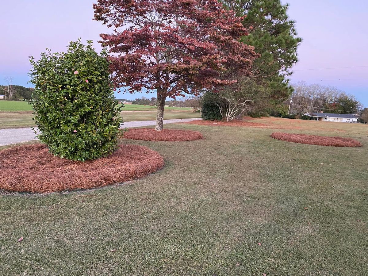 Landscape Design for Superior Lawn Solution in Coats, NC