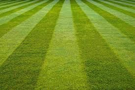 Lawn Mowing for Light It Up AV and Turf in Keller, TX