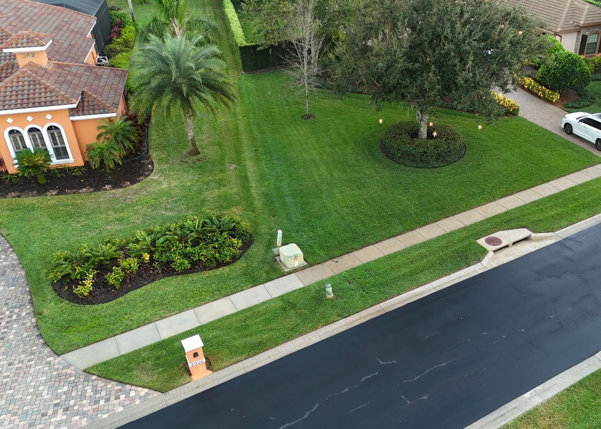 Sod Install for C4 Ground Control in Oviedo, FL