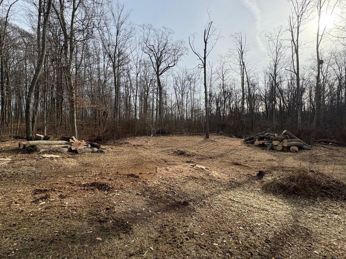 Fall Clean Up for Dig-It Tree Company in Mason, OH