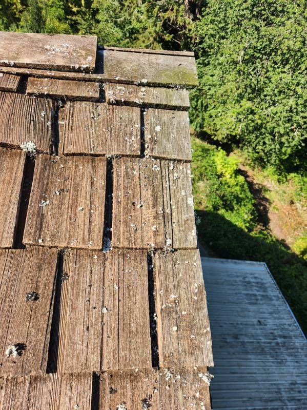 Gutter and Roof Cleaning for Bob's Yard Care & Landscaping in Raymond, WA