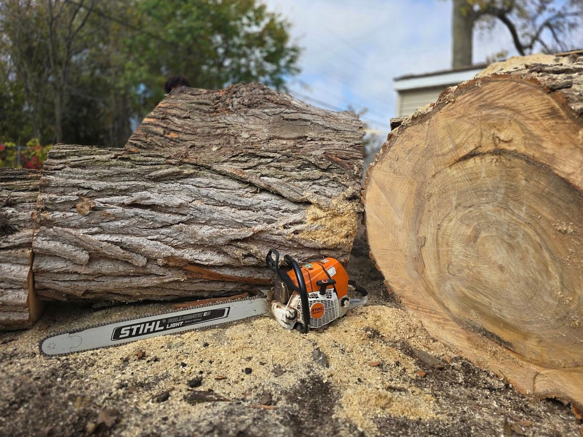Tree Removal for D Hale Tree Service in Dexter, MI
