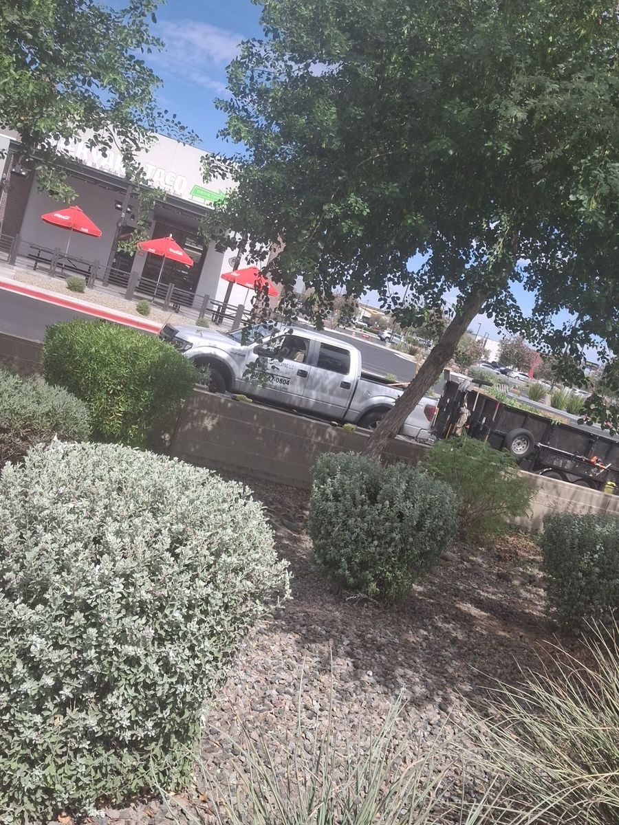 Commercial Property Groundskeeping for Family Landscaping in Phoenix, AZ