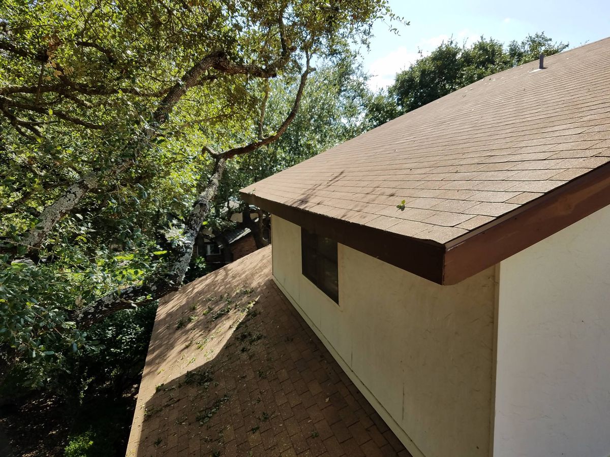 Tree Demossing for 210 Tree Care in San Antonio, TX