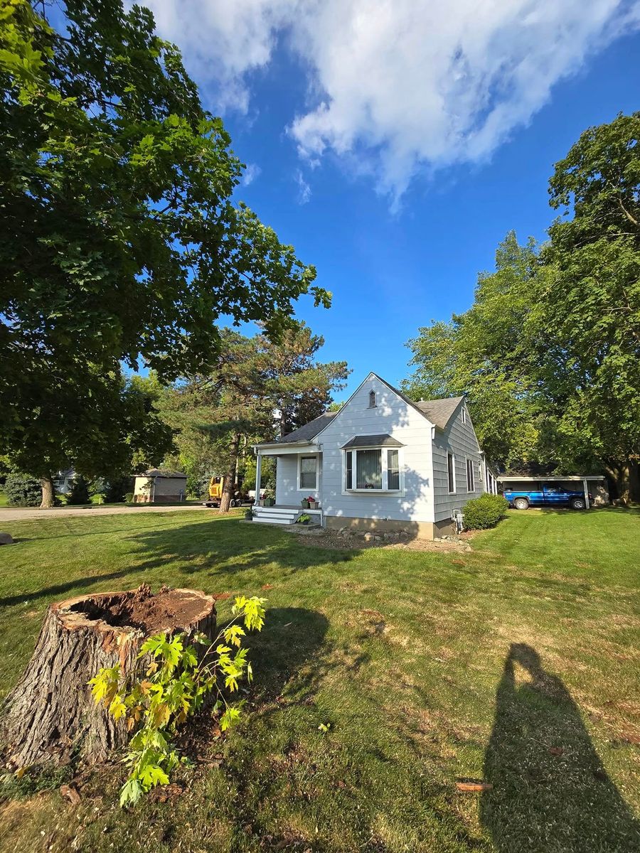 Tree Removal for D Hale Tree Service in Dexter, MI