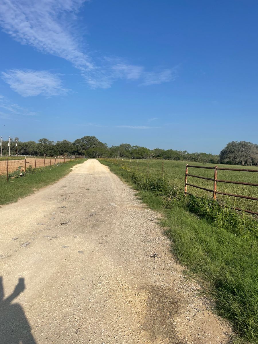 Homestead Preparation for TS Land Mangement in Bigfoot, TX