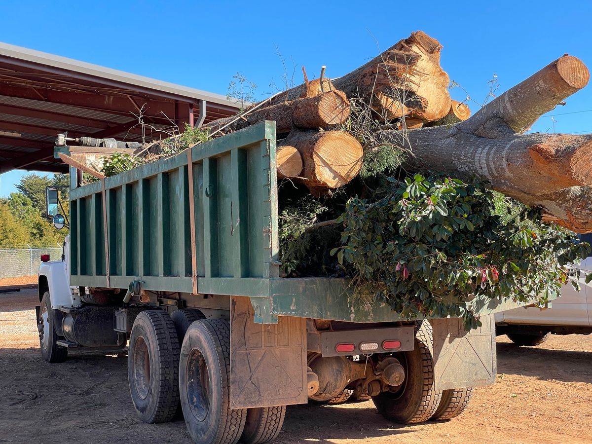 Land Clearing for Lakeside Tree Experts LLC in Hartwell, GA