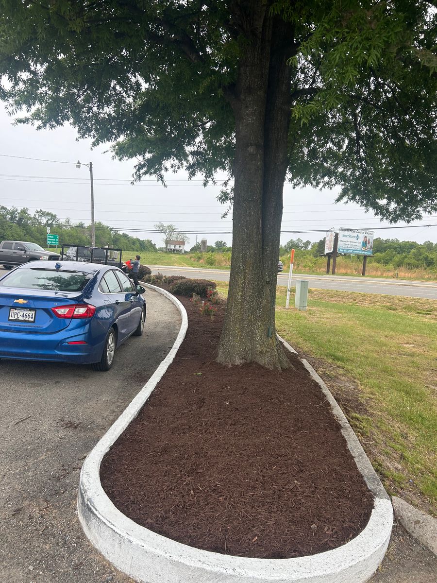 Shrub and Plant Trimming for The Whole 9 Yards Landscape VA in Heathsville, VA