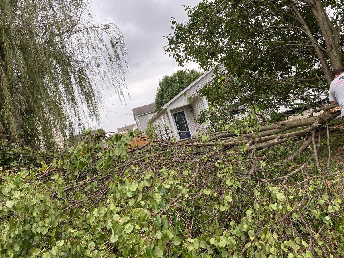 Storm Cleanup for Bearforce Lawn Care LLC in Greenfield, IN