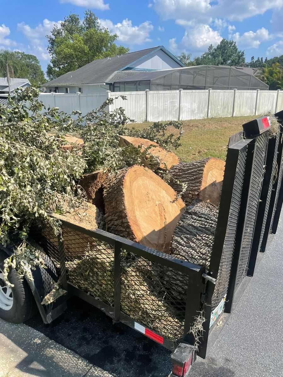 Fall Clean Up for The Family Tree Care Services LLC in Florida City, FL