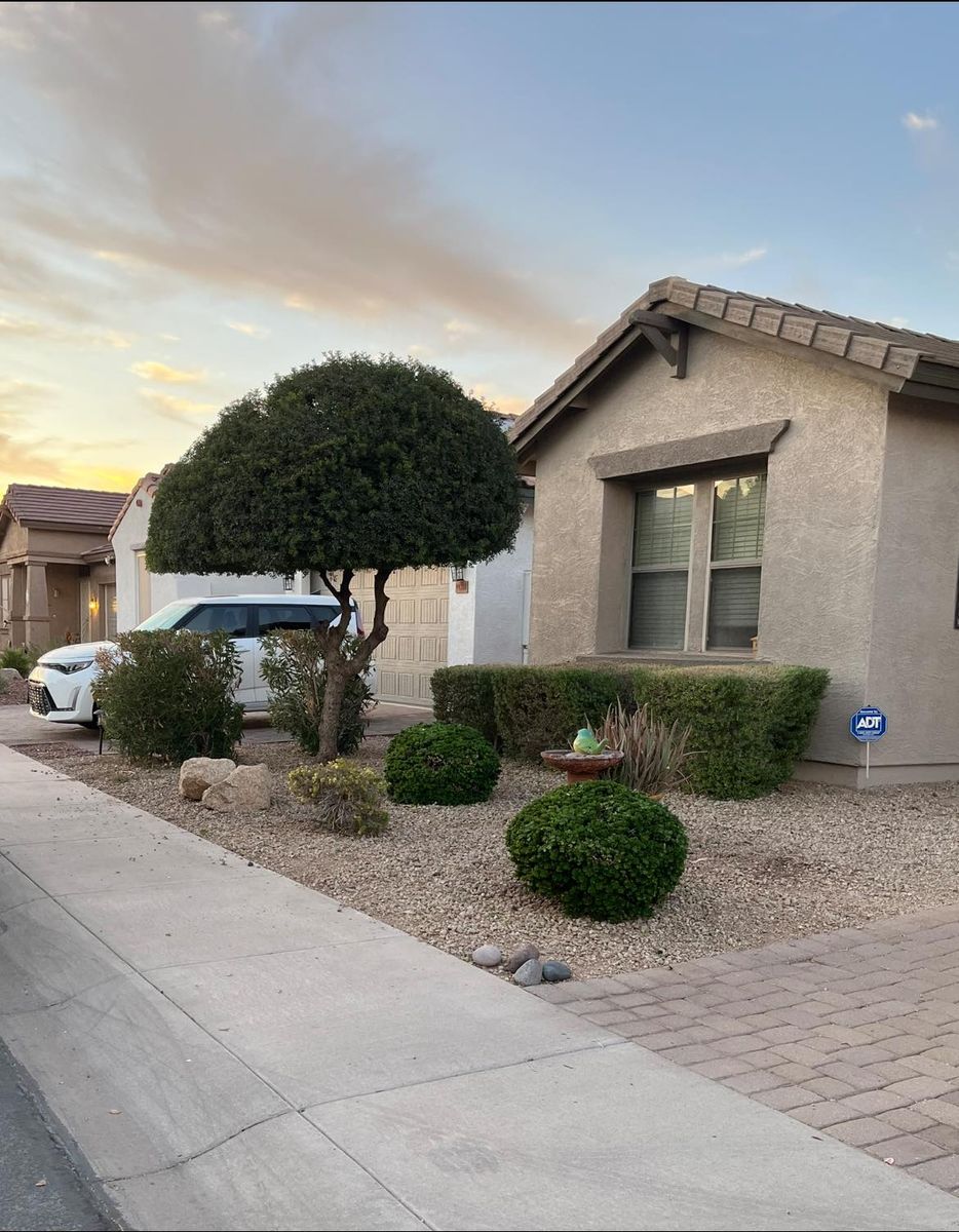 Shrub Trimming for Good Hands Landscape in Maricopa, AZ