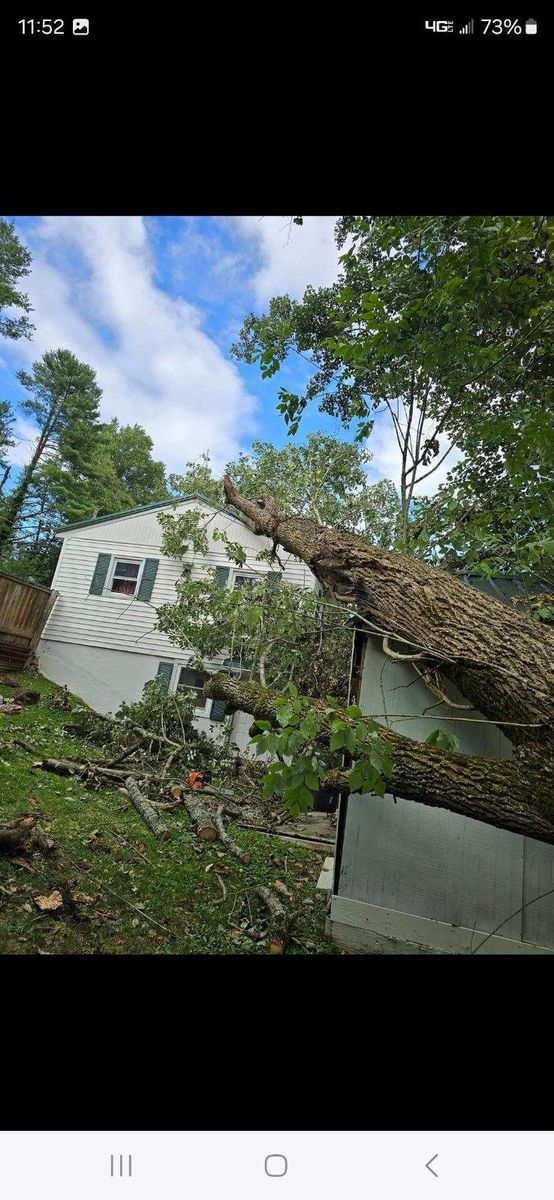 24/7 storm cleanup for M&L Lumber and Excavating in Jonesborough, TN