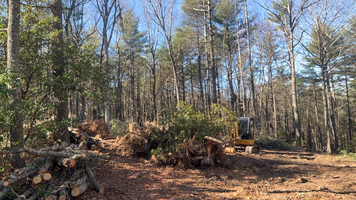 Tree Removal for Old South Grading in Glade Valley, NC
