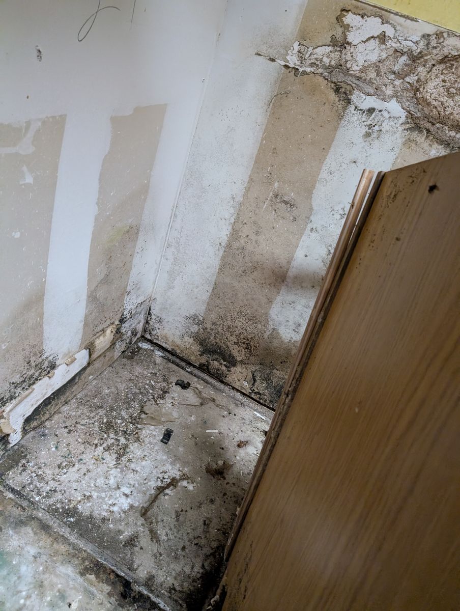 Storm Restoration for Best Option Restoration of Denton in Denton, TX