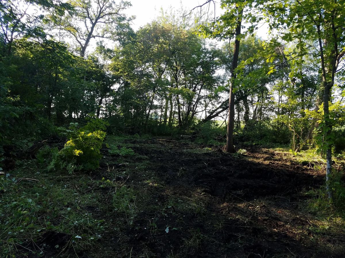 Shrub Trimming for Moyer Mowing & Trucking in Clarksville,, IA