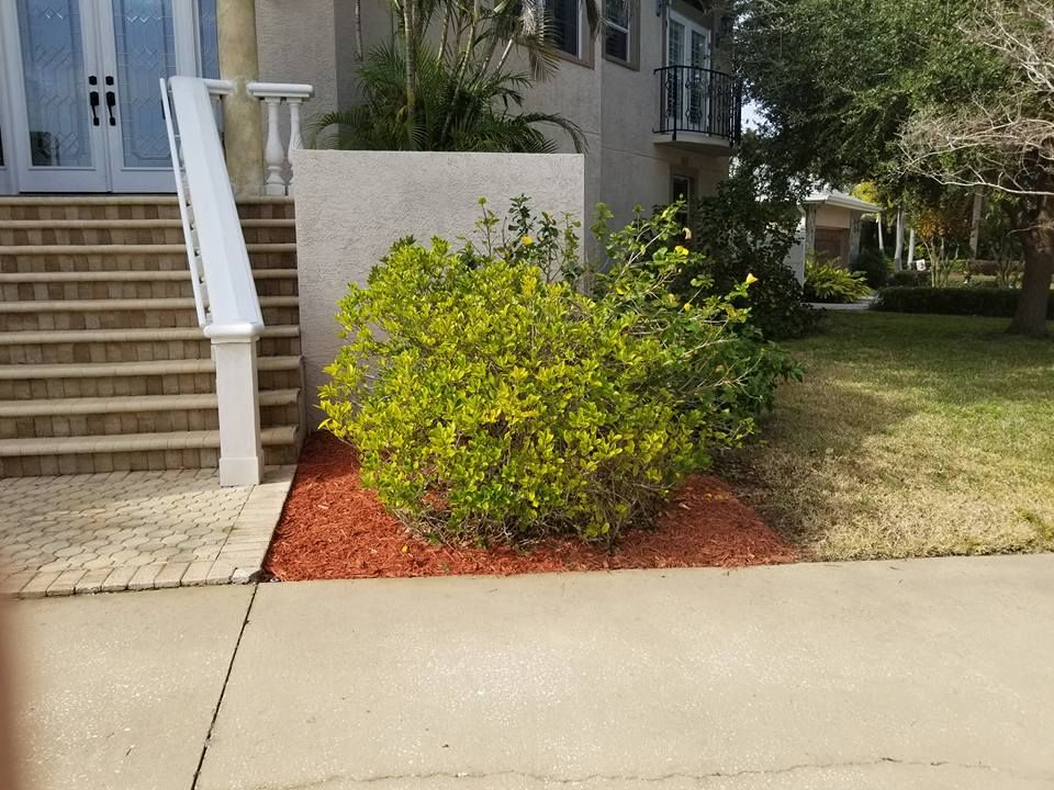 Mulch Installation for Curb Appeal Lawn Care LLC. in Gulfport, FL