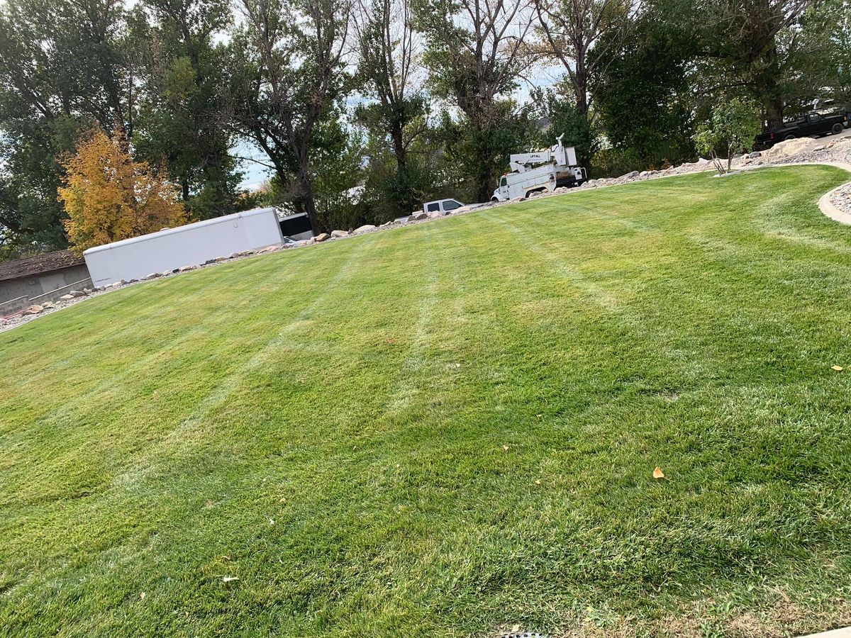 Mowing for Platinum Lawn Service in Santaquin, UT