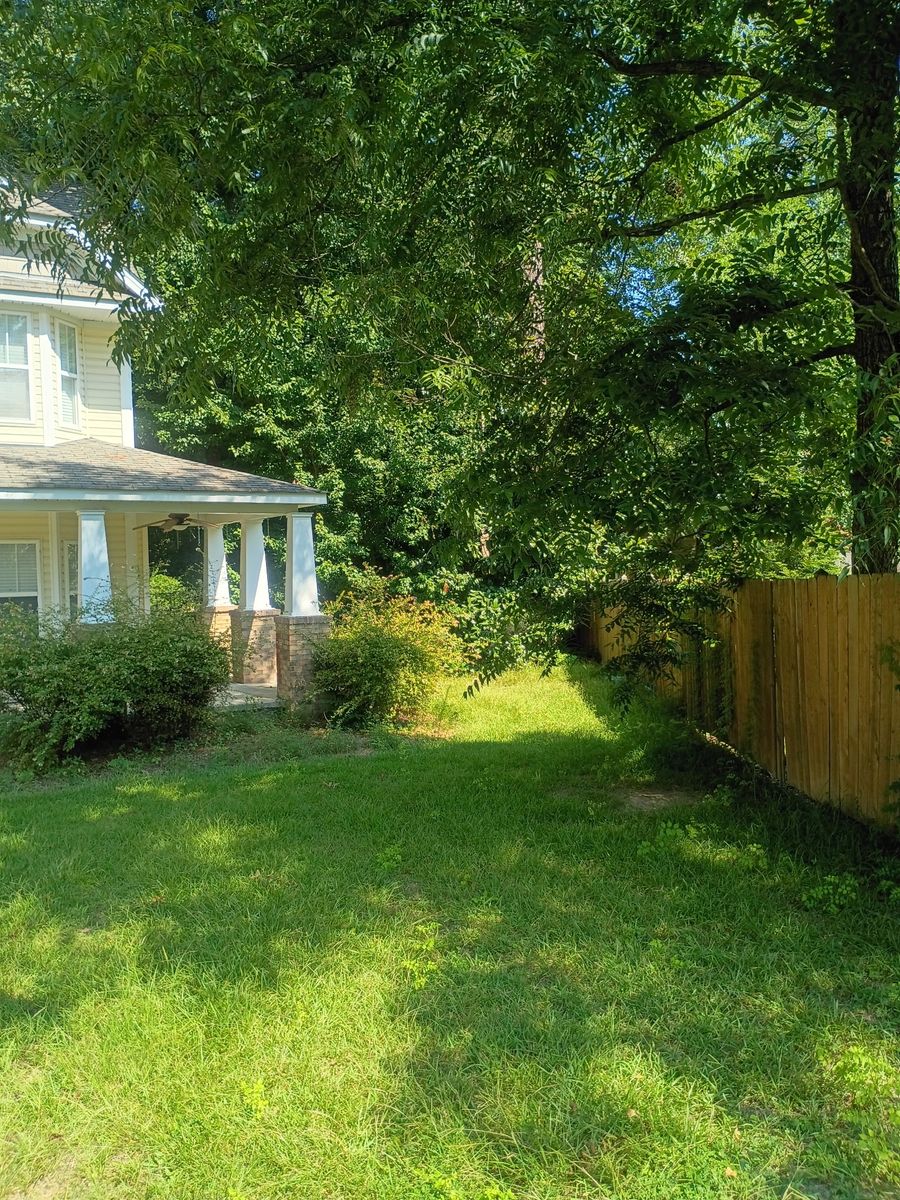 Tree Trimming for Brothers On Point Lawn And Junk Removal in Wilson, NC