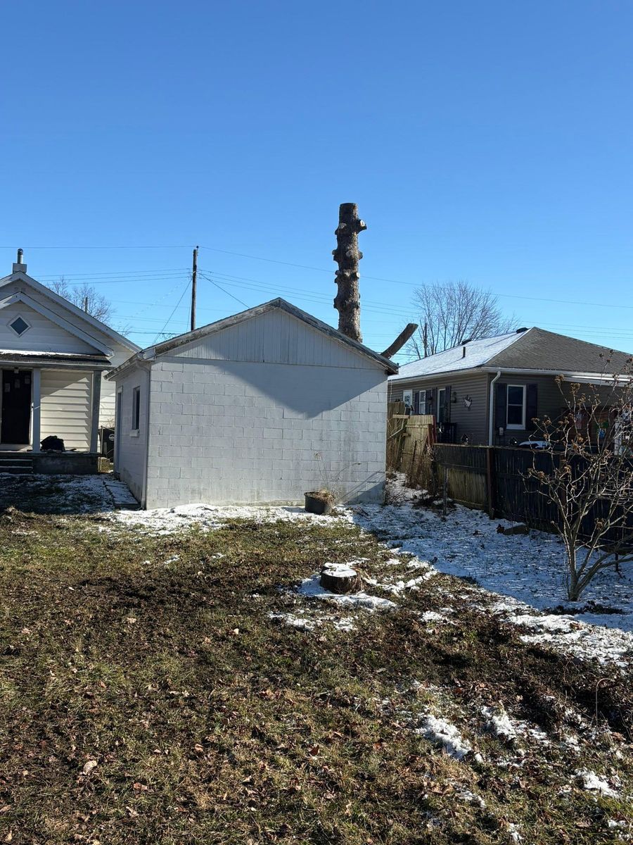 Tree Removal for Dig-It Tree Company in Mason, OH