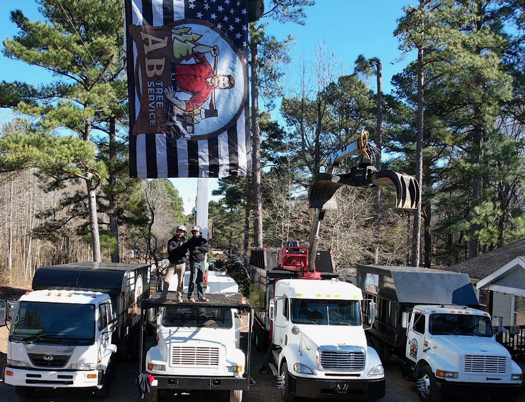 Tree Removal for AB Tree Service in Raleigh, NC