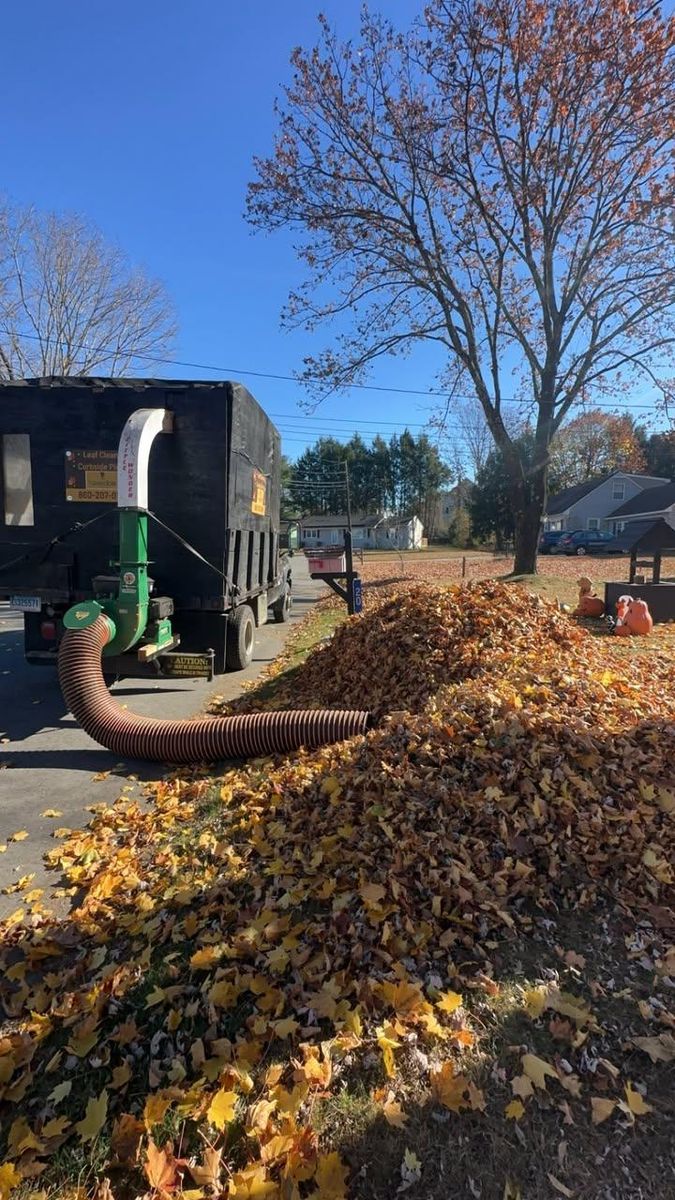 Fall Clean Up for Navedo’s Lawn Care LLC in Putnam, CT