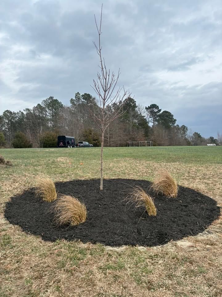 Landscape Design for Palmetto State Landscaping in Gaffney, SC