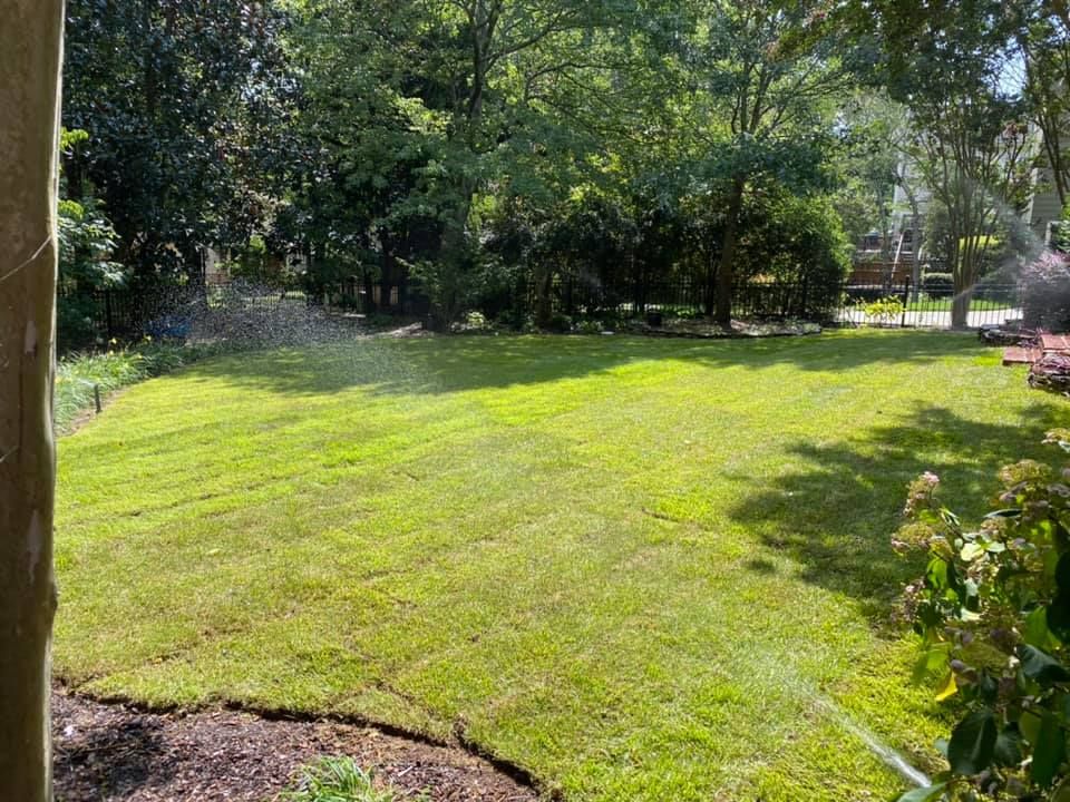 Sod Installation for Paradise Landscaping and Tree Service in Greenville, SC