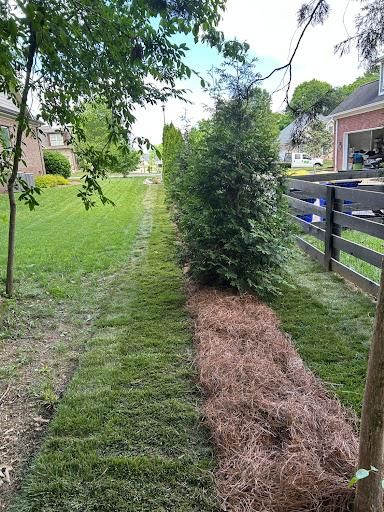 Landscaping for Optimum Tree Service And Landscaping in Bowling Green, KY
