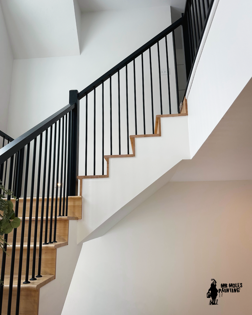 Residential Painting for Mr. Mole's Painting in Bemidji, MN