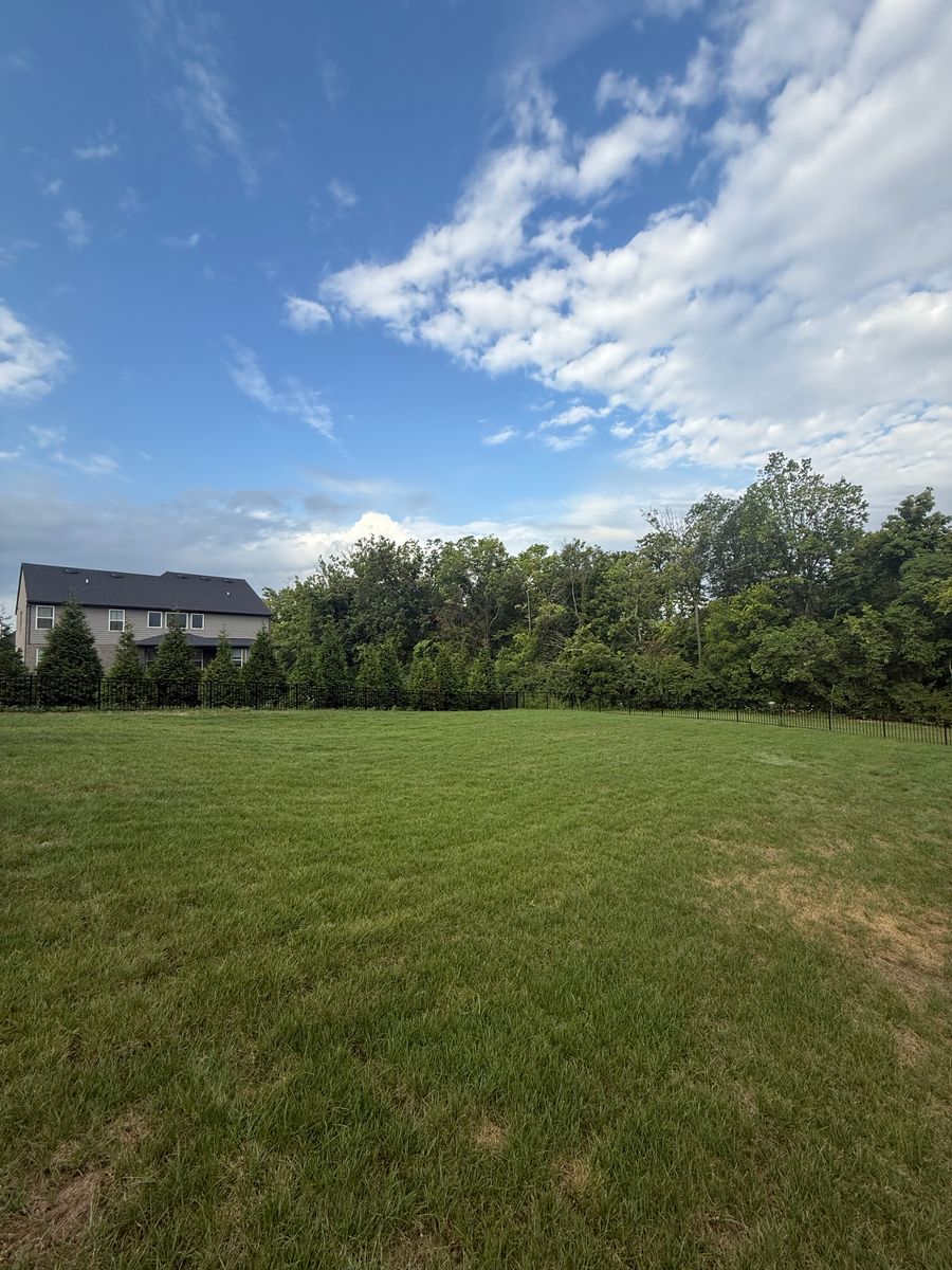 Sod installation for Woolf Outdoor Services in Mason, OH
