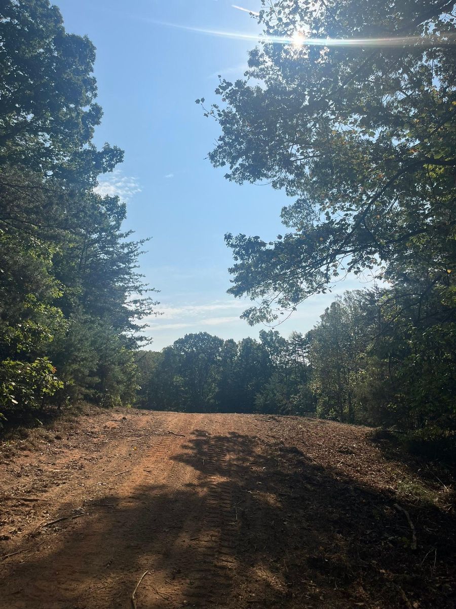 Brush cutting/clearing for Southside Land Management in Gretna, VA