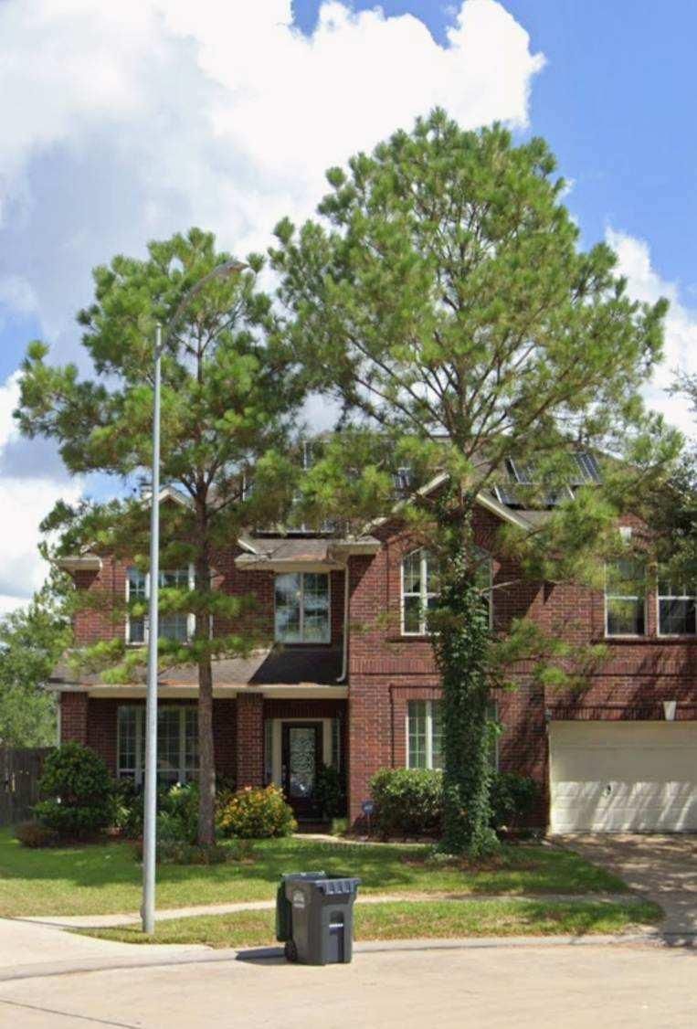 Tree Removal for Servin's Tree Care  in Houston, TX