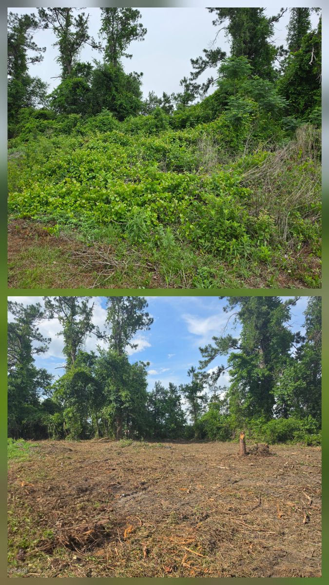 Land Clearing for Giles Land Management, LLC in Hahira, GA