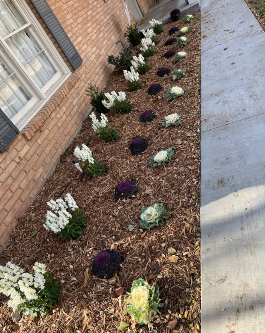 Landscape Design for Stone's Tree Services and Landscaping in Midland, TX