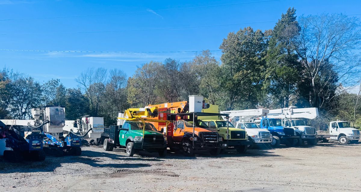 Tree Removal for Lamb Brothers Clearing in Murray, KY