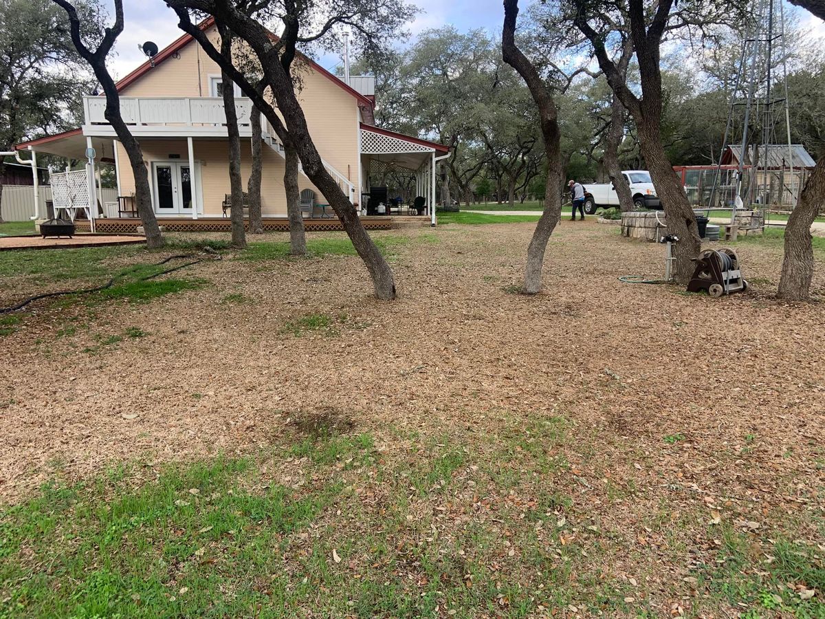 Brush Clearing for Austin's Lawn Enforcement in Austin, TX
