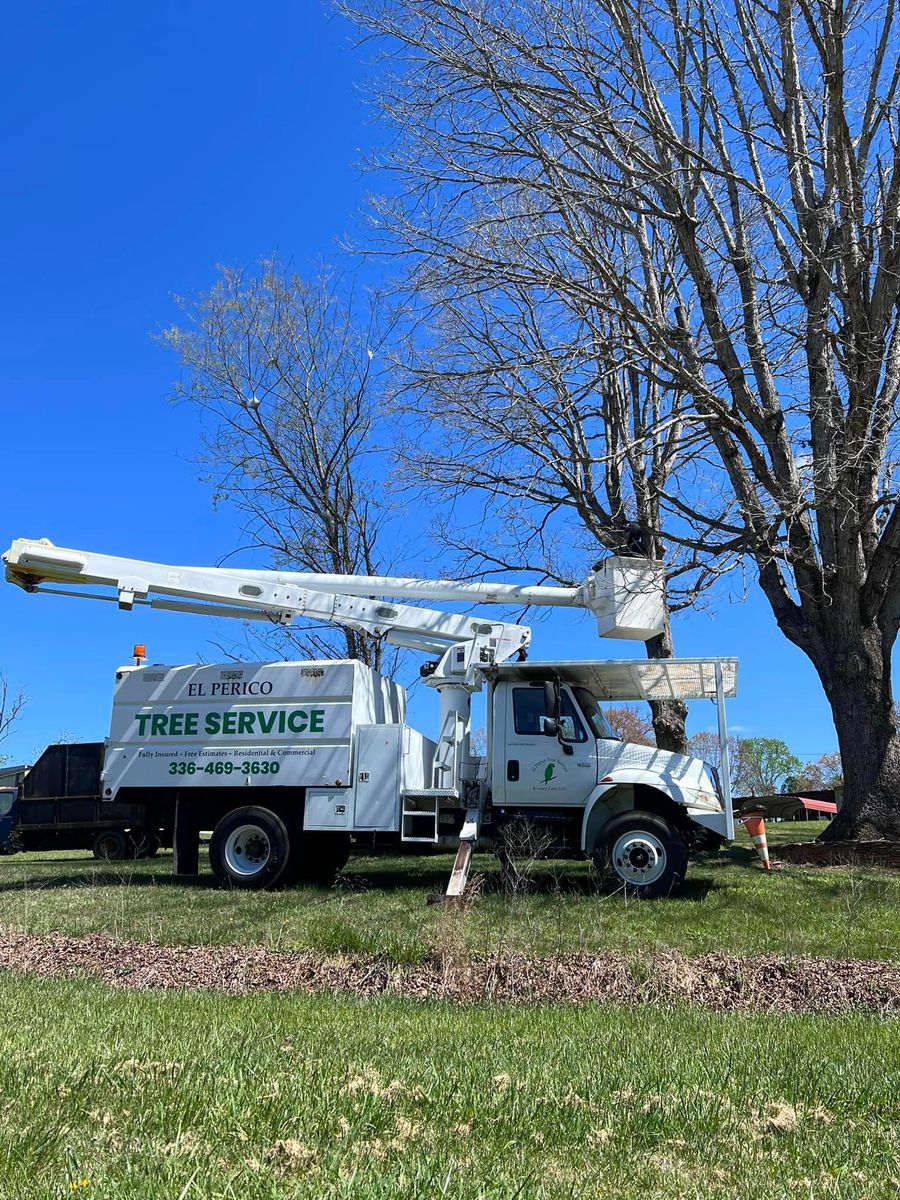 Tree Removal for El Perico Tree Service and Lawn Care, LLC in Boonville, North Carolina