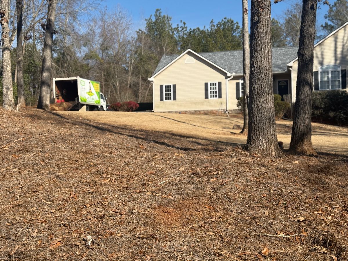 Professional Bush & Tree Trimming Services for GA Lawn Care Pros in Jefferson, GA