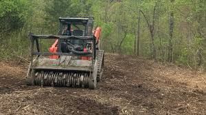 Forestry Mulching for Northern Summit Landworks in Little Falls, MN