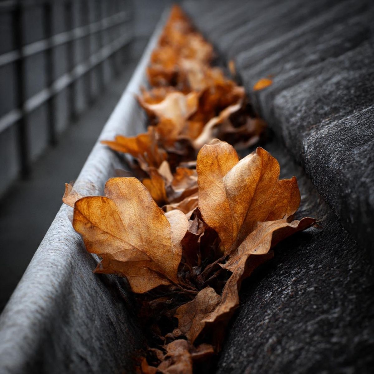 Storm Cleanup for Bearforce Lawn Care LLC in Greenfield, IN