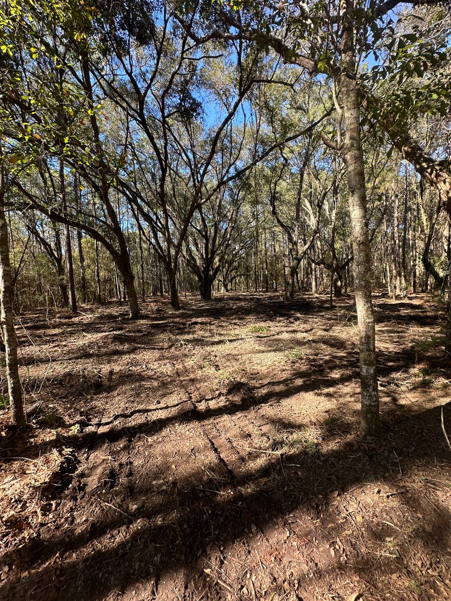 Land Clearing & Demolition for Platinum Construction llc in Pearl River, MS