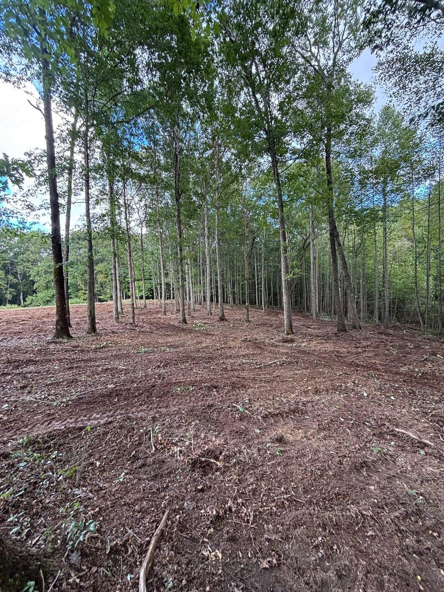 Forestry Mulching for TD Dirtworks in Tracy City, TN