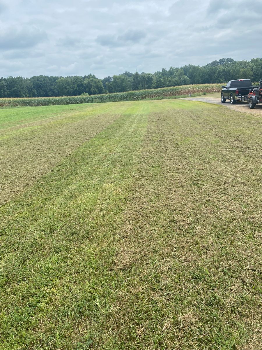 Lawn Maintenance for Apex Lawn & Landscaping INC in Dyersburg, TN