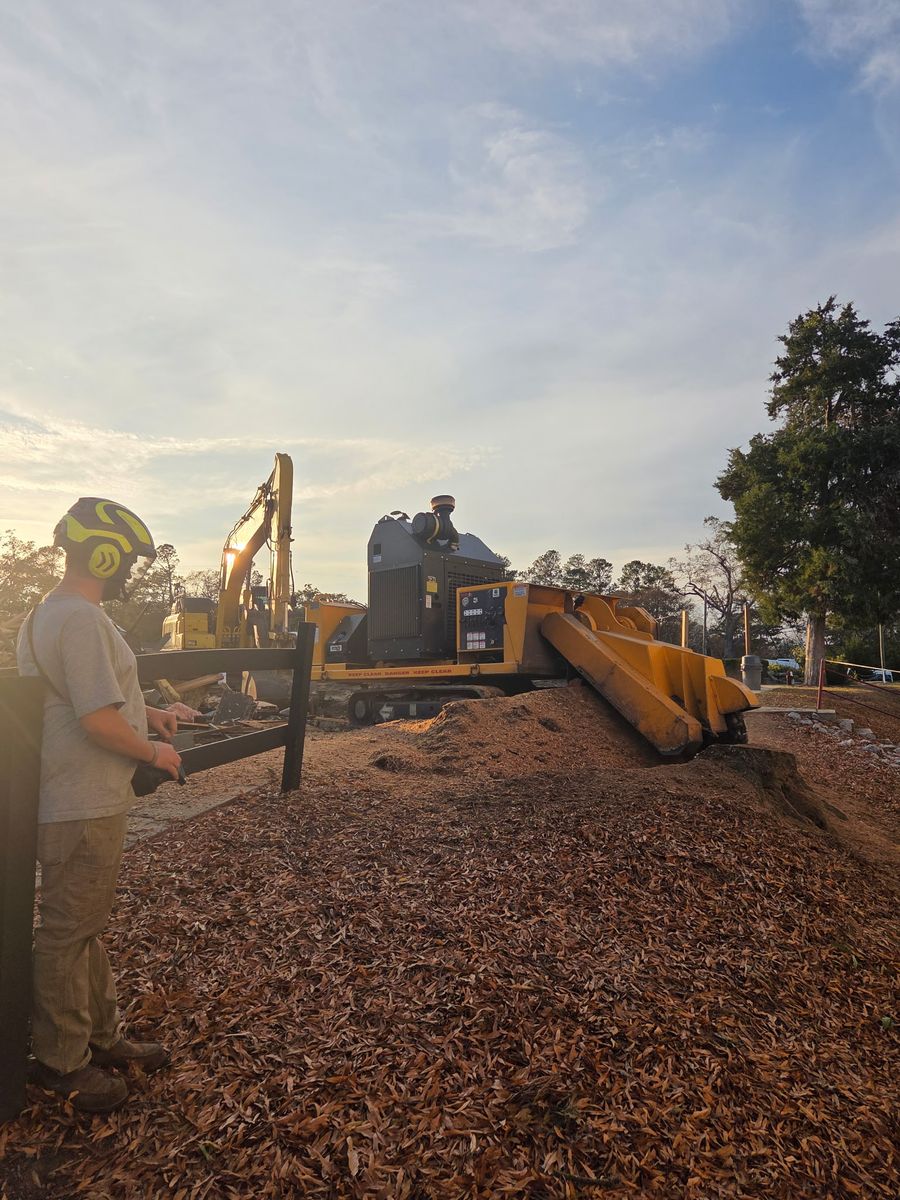 Tree Removal for Trees Unlimited of the CSRA in Augusta, GA