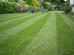Mowing for Combs Lawncare in Trenton, OH