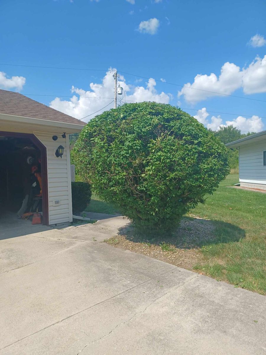 Shrub Trimming for Prime Landscaping 219 in Lake Station, IN